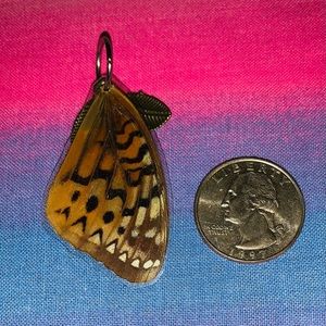 Real butterfly wing necklace! 🦋